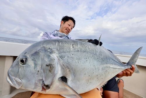 ロウニンアジの釣果