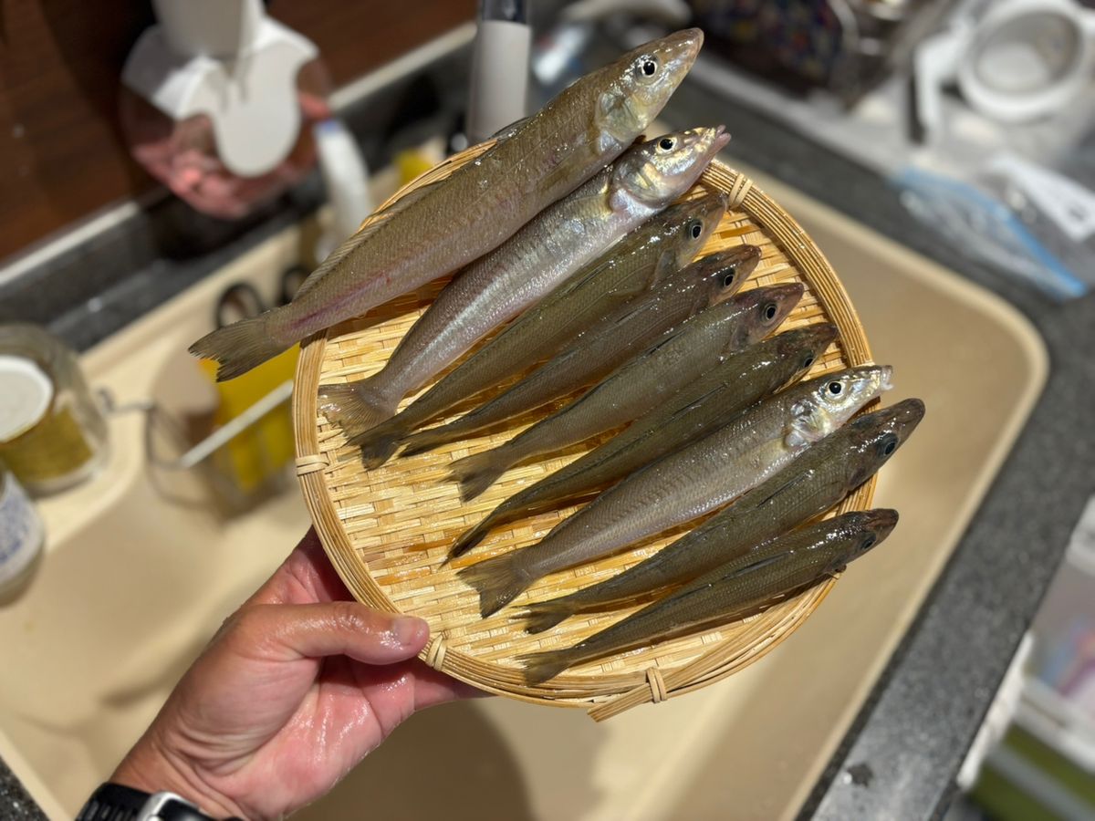 魚屋ほーりーさんの釣果 2枚目の画像