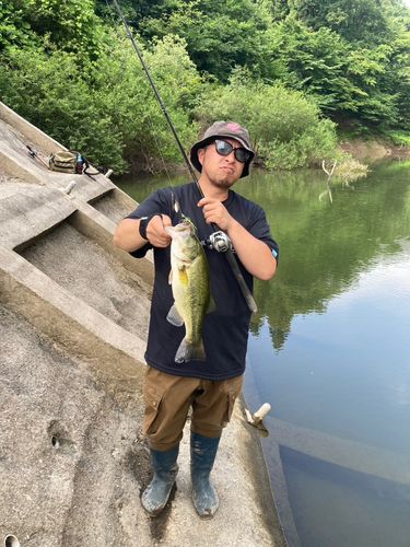 ブラックバスの釣果