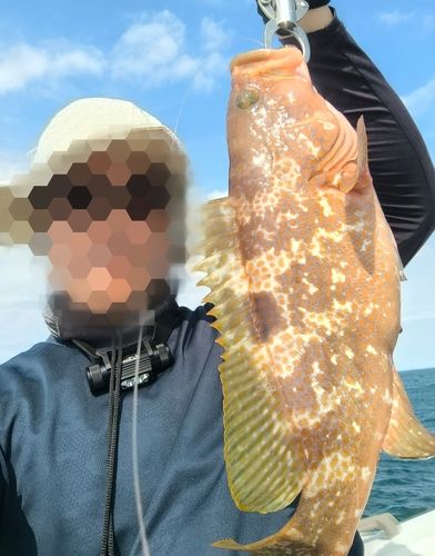 キジハタの釣果