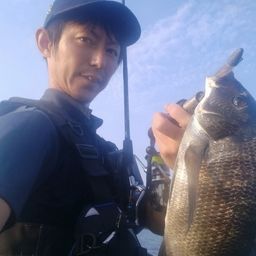 クロダイ