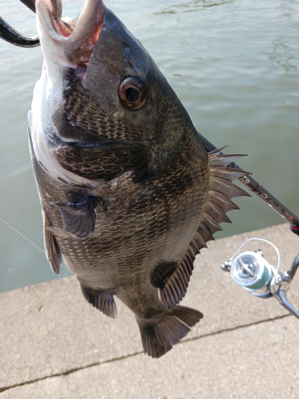 DAIWA 22エメラルダス ストイスト RT 82MHの最安値・インプレ