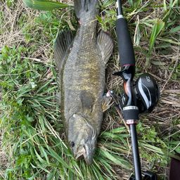 スモールマウスバス