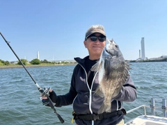 クロダイの釣果
