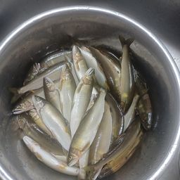 アユ