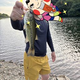ブラックバス