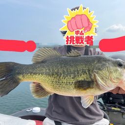ブラックバス