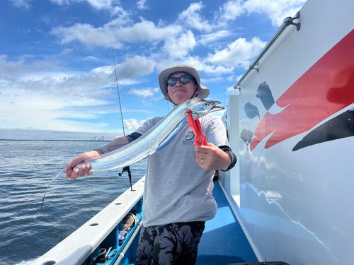 タチウオの釣果