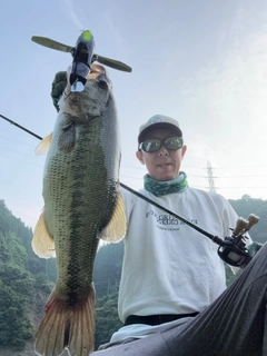 ブラックバスの釣果