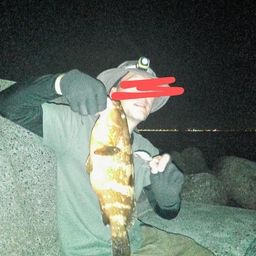 アコウ