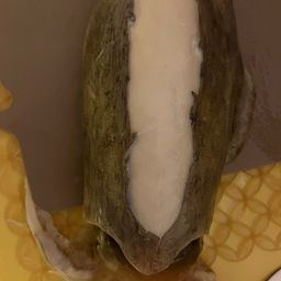 モンゴウイカ