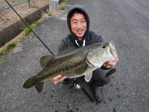 ブラックバス