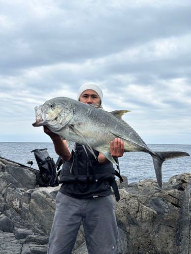 GTの釣果