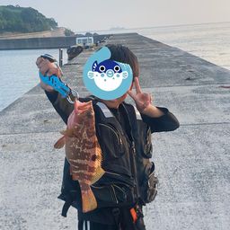 アコウ