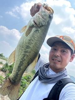 ラージマウスバスの釣果
