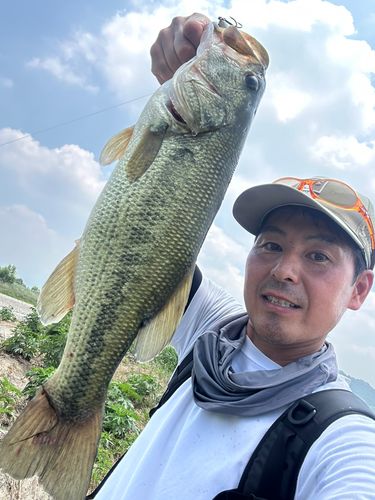 ラージマウスバスの釣果