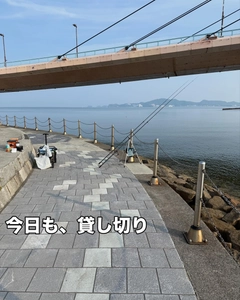 キスの釣果