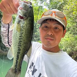 ラージマウスバス