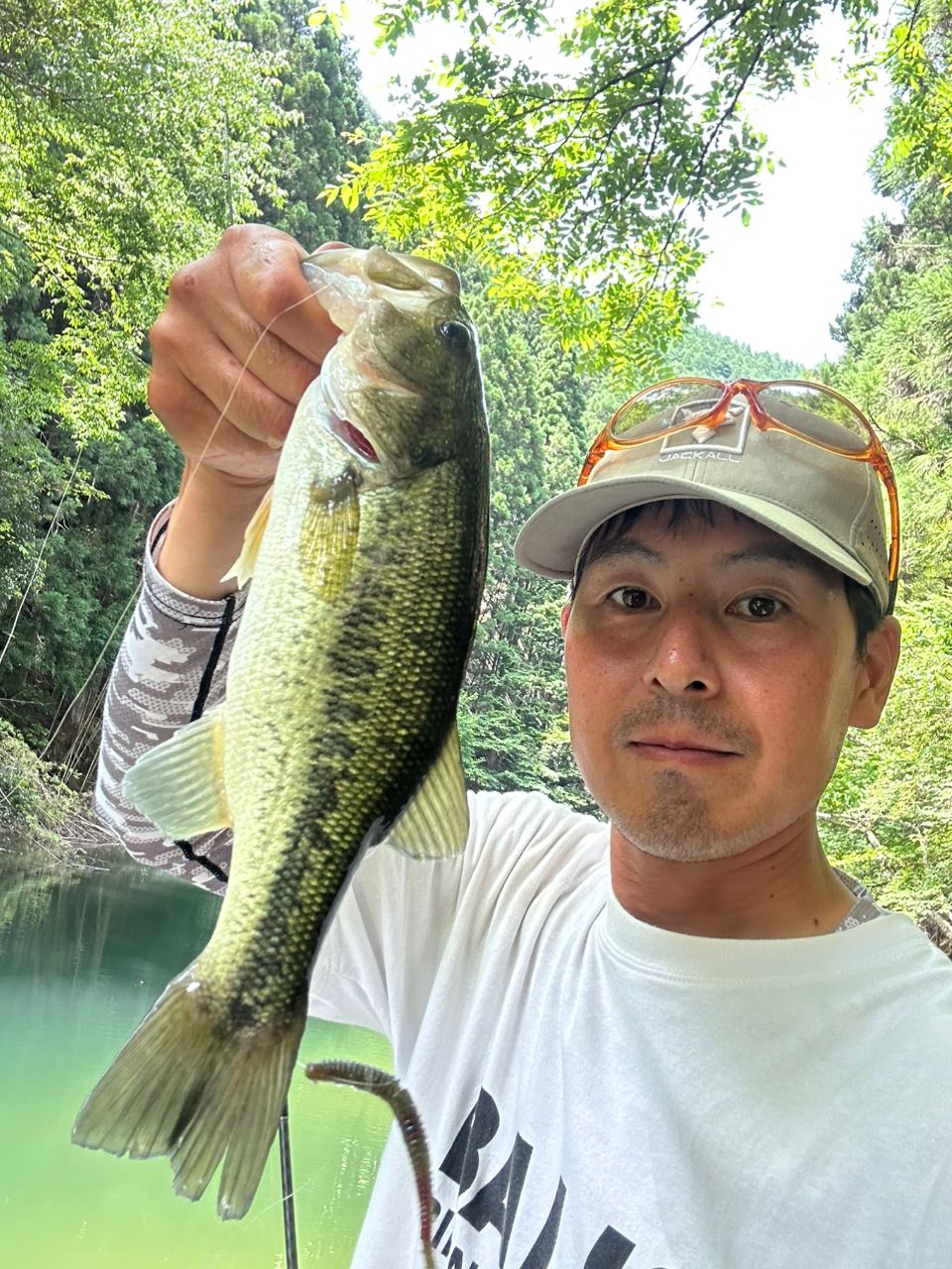 ラージマウスバス