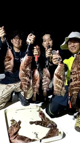 キジハタの釣果