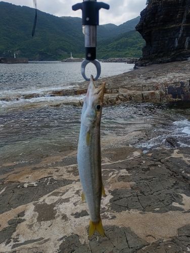 釣果