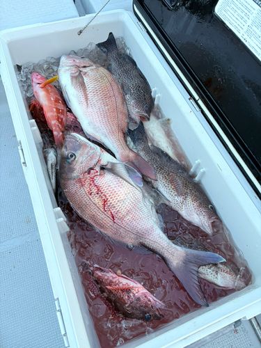 釣果