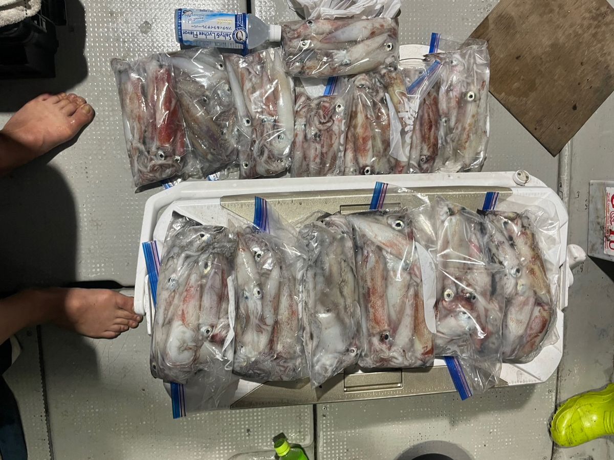 田畑良朗@なつき丸さんの釣果 2枚目の画像