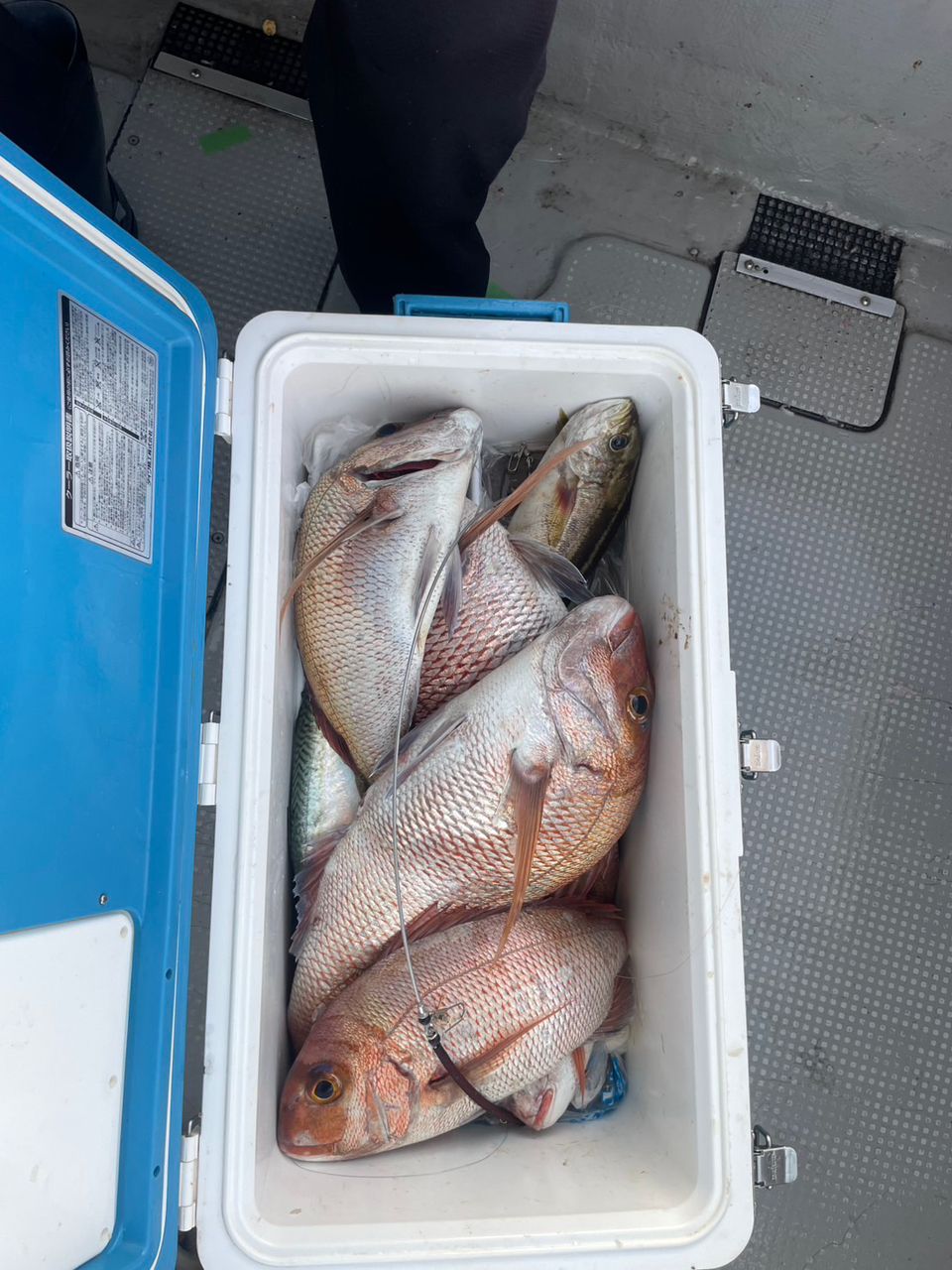田畑良朗@なつき丸さんの釣果 2枚目の画像