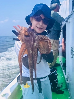 マダコの釣果