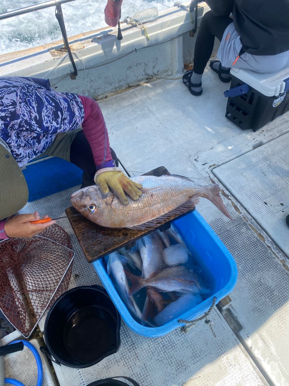 HSSEAWさんの釣果 2枚目の画像