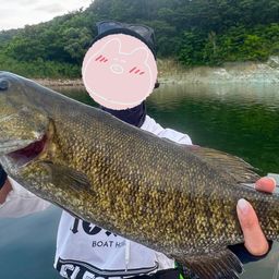 スモールマウスバス