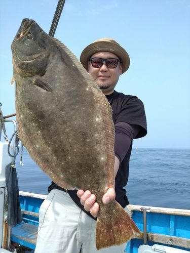 ヒラメの釣果