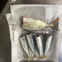 サバ