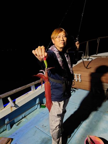 ケンサキイカの釣果