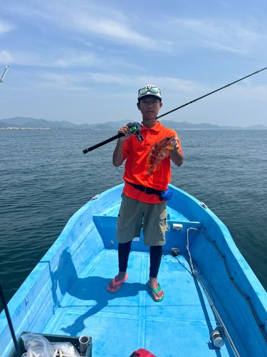 アカハタの釣果