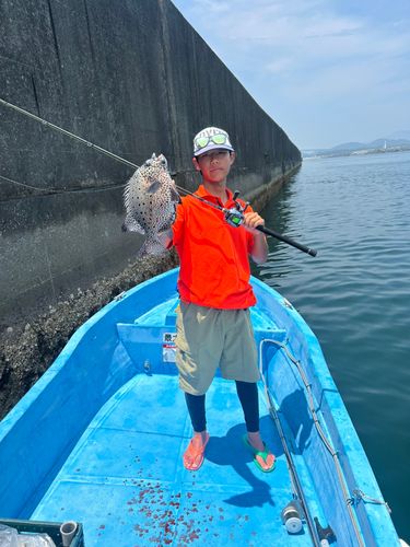 イシガキダイの釣果