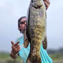 スモールマウスバス