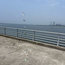 サッパ