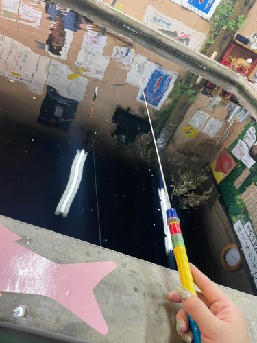 釣果