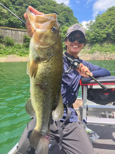 ブラックバスの釣果