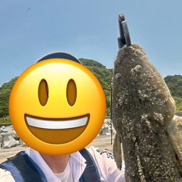 マゴチ