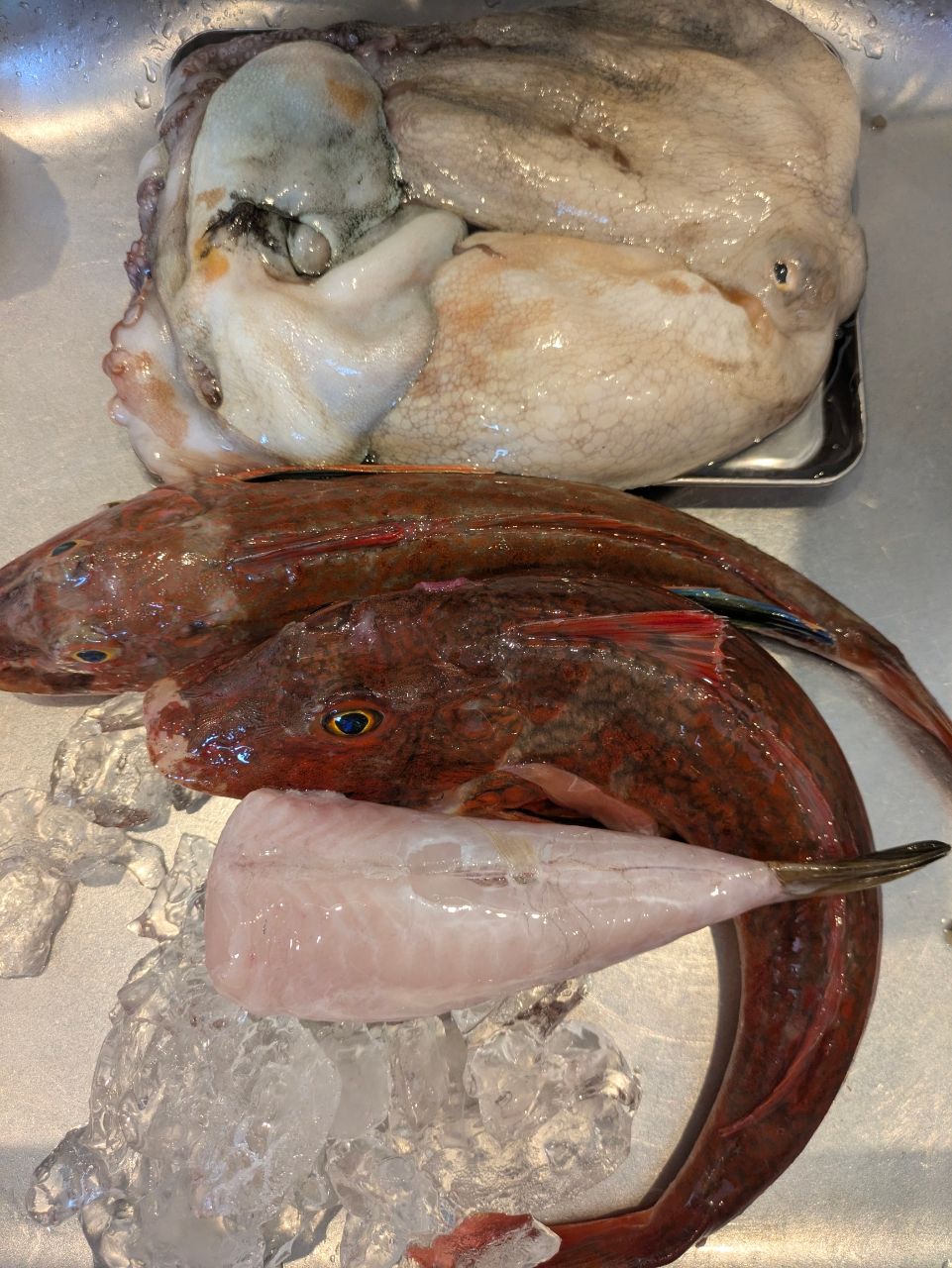 アングラー13993089さんの釣果 2枚目の画像