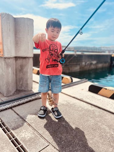 イシミーバイの釣果
