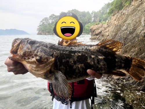 ベッコウゾイの釣果