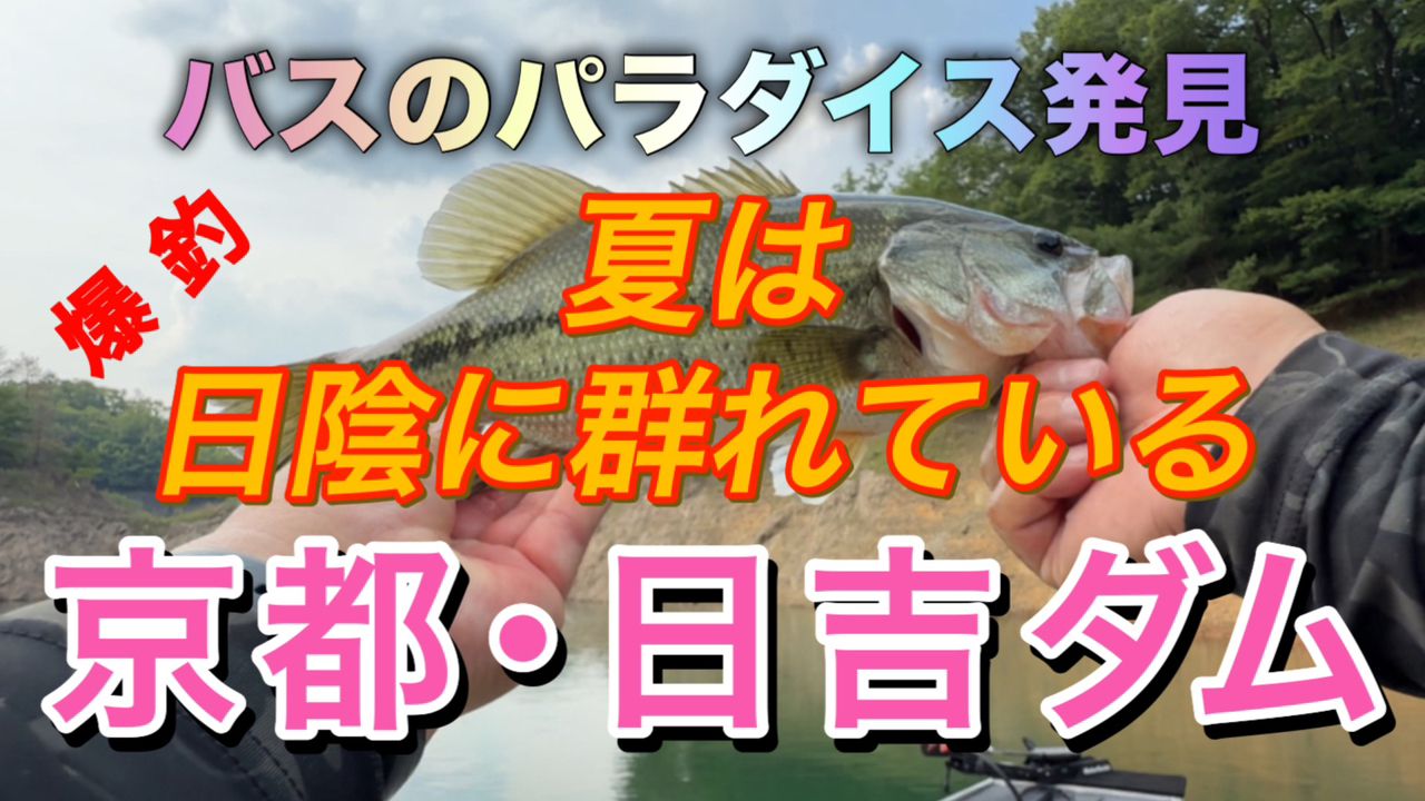 ブラックバス