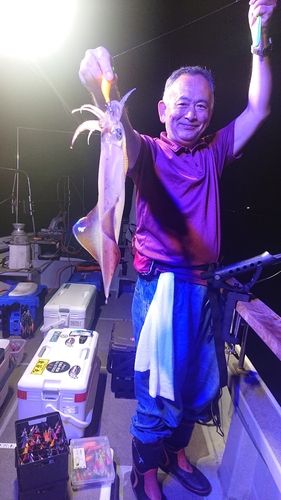 シロイカの釣果