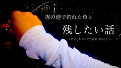 キジハタの釣果