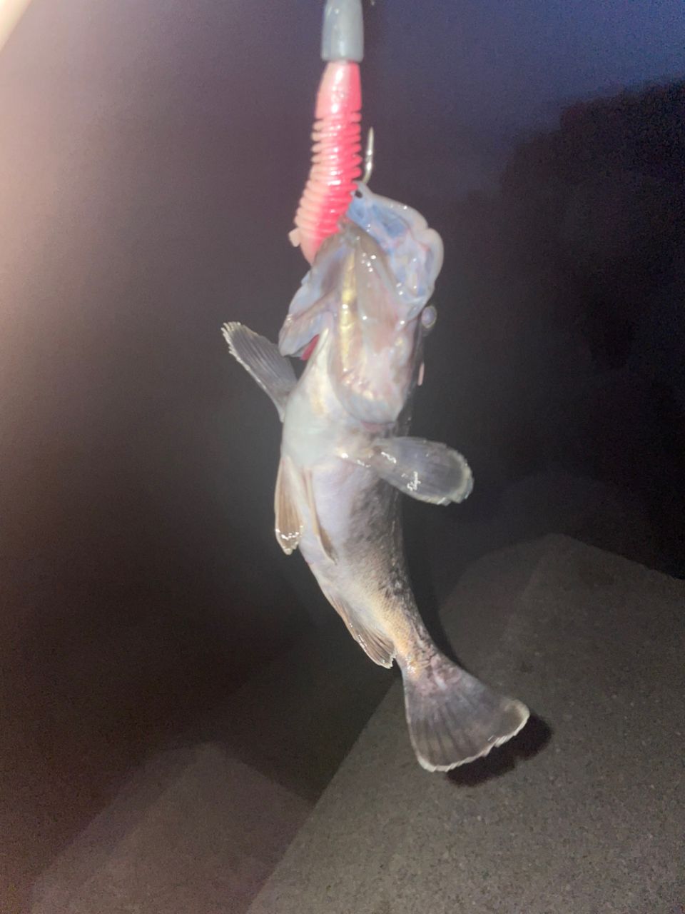クロソイ
