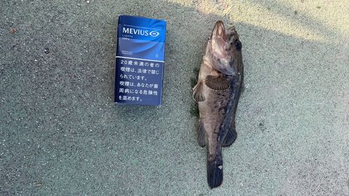 釣果