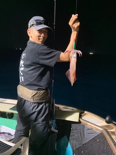 ケンサキイカの釣果